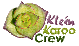 KleinKarooCrew