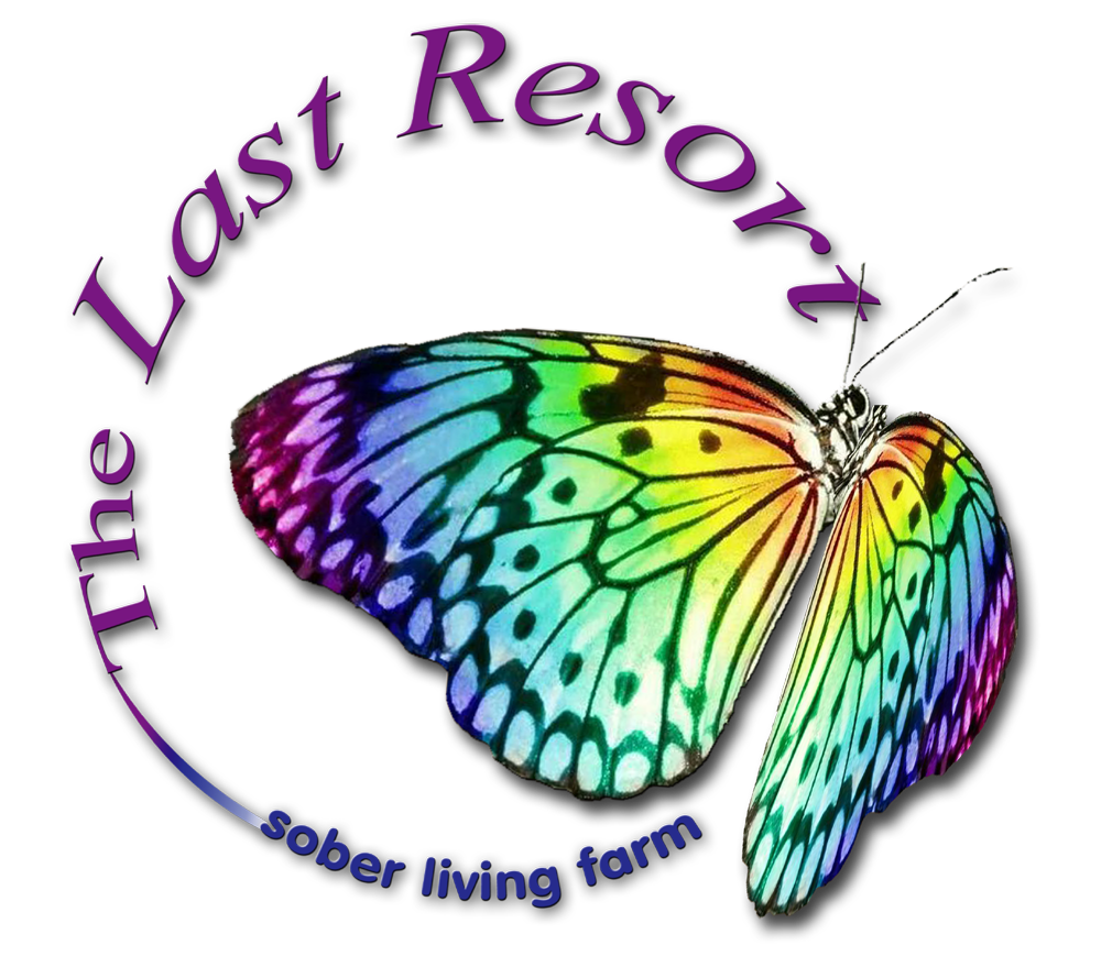 The Last Resort